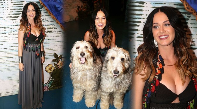 Katy Perry at Broadway’s “Finding Neverland” in New York
