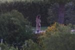 Emily Ratajowski Nude Filming