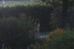 Emily Ratajowski Nude Filming