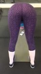 Maitland Ward Gym Ass