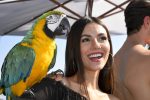 Victoria Justice Sexy