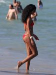 Chanel Iman Bikini