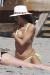 Alessandra Ambrosio Bikini