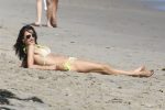 Alessandra Ambrosio Bikini