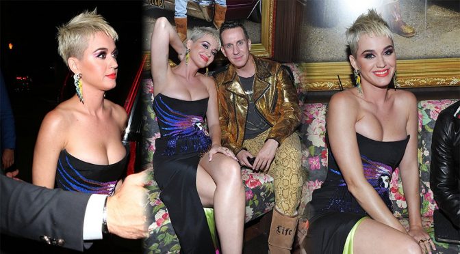 Katy Perry Boobs