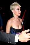 Katy Perry Cleavage