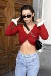 Bella Hadid