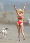 Courtney Stodden Bikini