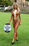 Joanna Krupa Bodypaint