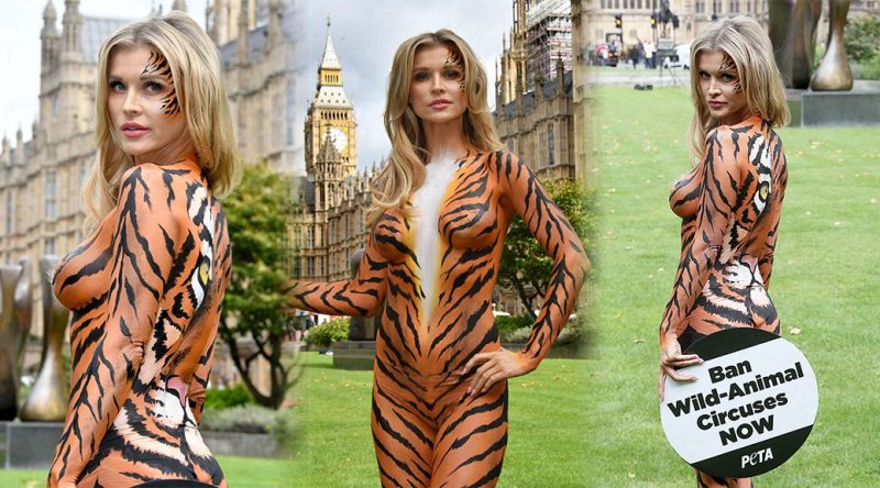 Joanna Krupa – PETA Event in London