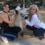 Kendall & Kylie Jenner