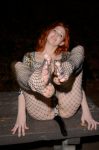 Maitland Ward