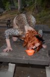Maitland Ward