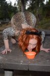 Maitland Ward