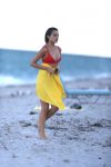 Olivia Culpo Shanina Shaik