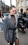 Bella Hadid
