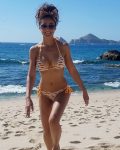 Emmanuelle Chriqui Bikini