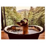 Shantel Vansanten