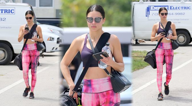 Adriana Lima – Candids in Miami