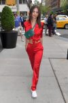 Emily Ratajkowski Red Hot