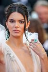 Kendall Jenner Braless Boobs