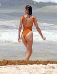 Bella Hadid Swimsuit ()