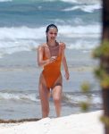 Bella Hadid Swimsuit ()
