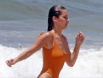 Bella Hadid Swimsuit ()