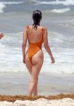 Bella Hadid Swimsuit ()