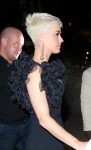 Katy Perry Boobs
