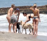Bella Hadid Thong Bikini