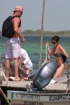 Eiza Gonzalez Bikini Body