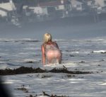 Lady Gaga Wet Dress