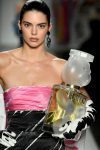 Kendall Jenner Sexy Catwalk