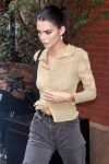 Kendall Jenner Sexy Sheer Blouse