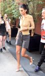 Kendall Jenner Sexy Sheer Blouse