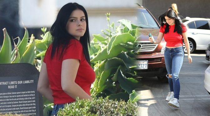 Ariel Winter Sexy Braless Boobs