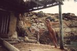 Marisa Papen Naked