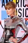 Taylor Swift Sexy Silver Dress