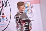 Taylor Swift Sexy Silver Dress