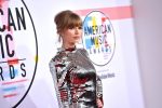 Taylor Swift Sexy Silver Dress
