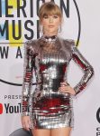 Taylor Swift Sexy Silver Dress