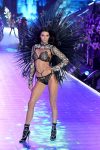 Kendall Jenner Sexy Lingerie