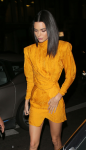 Kendall Jenner Sexy Long Legs