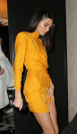 Kendall Jenner Sexy Long Legs