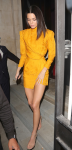 Kendall Jenner Sexy Long Legs