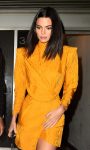 Kendall Jenner Sexy Long Legs