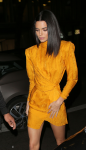 Kendall Jenner Sexy Long Legs
