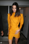 Kendall Jenner Sexy Long Legs