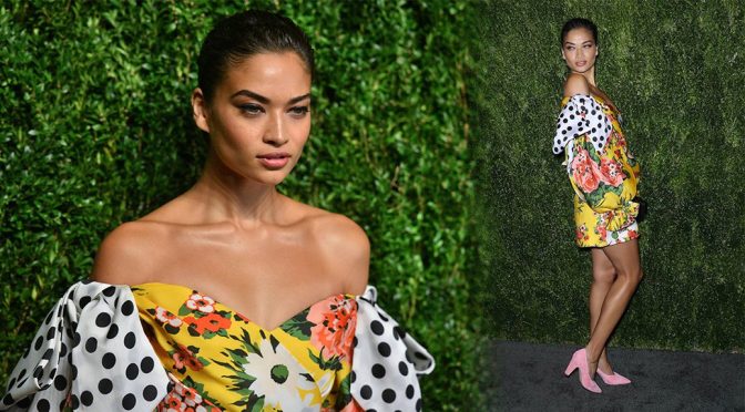 Shanina Shaik – CFDA/Vogue Fashion Fund 15th Anniversary Event